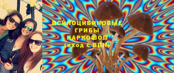 винт Балахна